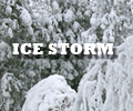 ice-storm