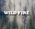 wild-fire
